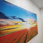Tulip Superior, Grand Pamporovo