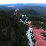 Tulip Superior, Grand * Pamporovo