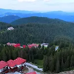 Tulip Superior, Grand * Pamporovo