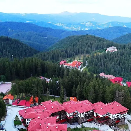 Tulip Superior, Grand