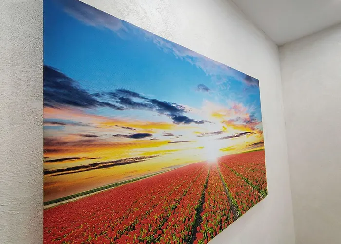 Tulip Superior, Grand Pamporovo