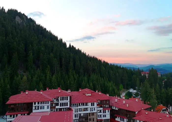 Tulip Superior, Grand * Pamporovo