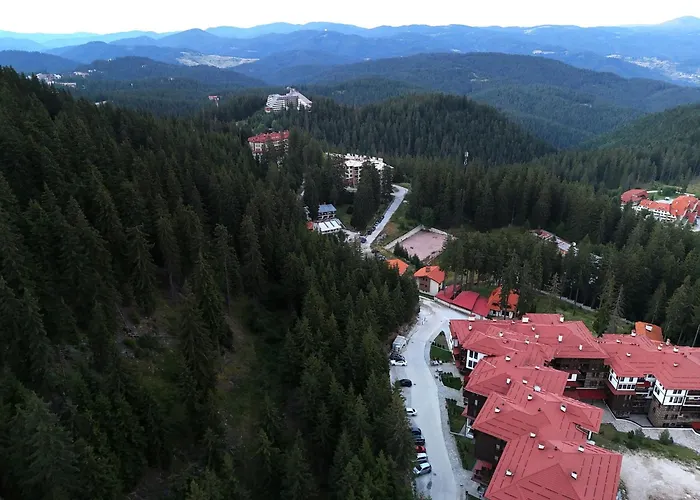 Tulip Superior, Grand * Pamporovo