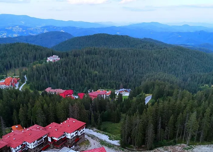 Tulip Superior, Grand * Pamporovo