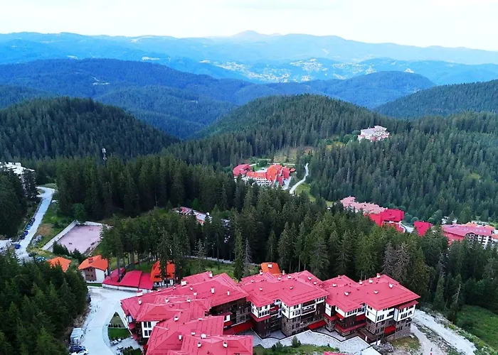 Tulip Superior, Grand